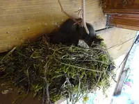 DSC01708.JPG