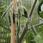 IMG_8238.JPG