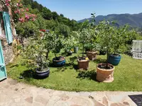 IMG_20210527_140747.webp