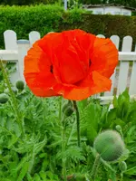 20210529_091748.webp
