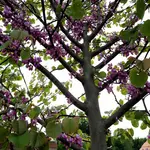 20210528_182000_06.webp 20210528_182000_06.webp