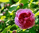 _MG_9674.JPG