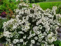 20210528_182153 22.webp 20210528_182153 22.webp