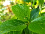 20210529_175321.jpg 20210529_175321.jpg