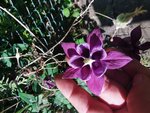 IMG_20210529_180341.jpg
