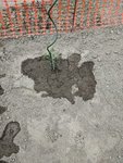 PXL_20210510_140051083.jpg
