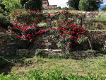 IMG_20210525_161900.jpg