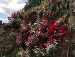 IMG_20210525_161733.jpg