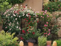 IMG_20210526_161720.webp