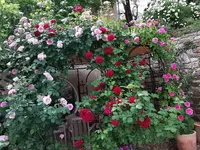 IMG_20210526_162039 (1).webp