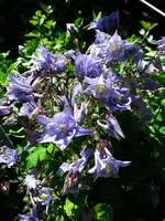 20210530_091303.webp