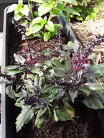 20210530_090759.webp