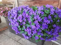 k-20210529_192044.webp k-20210529_192044.webp