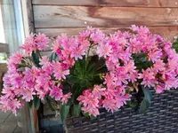 k-20210514_153544.webp k-20210514_153544.webp