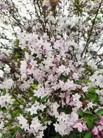 k-20210524_171425 (2).webp k-20210524_171425 (2).webp