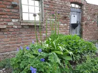 k-20210528_182126.webp k-20210528_182126.webp