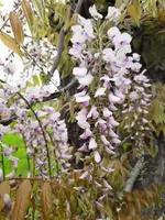 k-20210524_153538 (1).webp k-20210524_153538 (1).webp