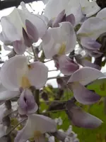 k-20210524_153552 (1).webp k-20210524_153552 (1).webp