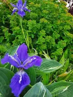 k-20210528_181919.webp k-20210528_181919.webp