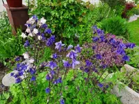 k-20210528_182525.webp k-20210528_182525.webp