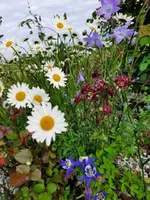 k-20210528_182843.webp k-20210528_182843.webp