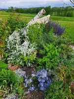 k-20210528_183423.webp k-20210528_183423.webp