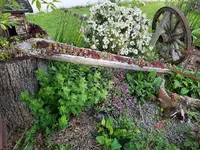 k-20210528_183209.webp k-20210528_183209.webp