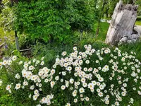 k-20210528_183040.webp k-20210528_183040.webp