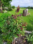 k-20210528_183308.jpg