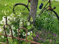 k-20210528_183237.jpg k-20210528_183237.jpg