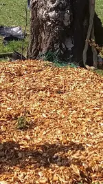 20170401_145726 (3).jpg 20170401_145726 (3).jpg