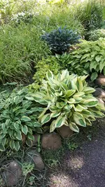 20210530_101957.webp