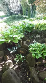 20210530_102338.webp