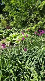 20210530_101130.webp