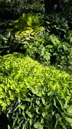 20210530_102029.webp