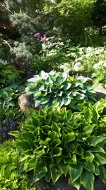 20210530_100953.webp