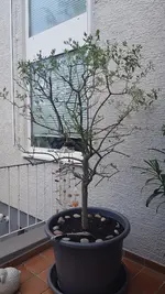 20210530_160747.webp