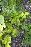 IMG_20210530_2005308.jpg