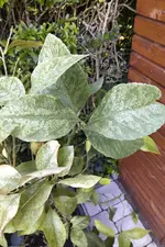 IMG_20210530_2005423.webp