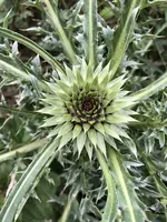 A09F0FAD-4723-4F99-BB73-976E24C53A07.webp A09F0FAD-4723-4F99-BB73-976E24C53A07.webp