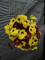 FFB9A273-5015-45AA-8BDB-C575B585C67F_1_201_a.webp