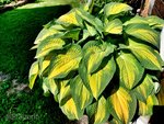 Gartenfreuden 5.jpg