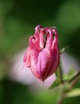 IMG_4281.JPG