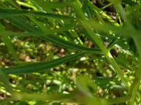 IMG_20210530_090356 (2).webp