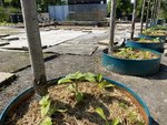 k-IMG_1001.JPG