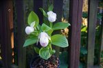 DSC09846.JPG