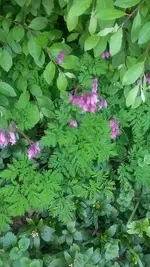 20210530_131121.webp