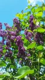 20210530_130905.webp