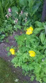 20210530_125905.webp