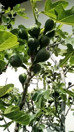 IMG_20190520_111526072.webp